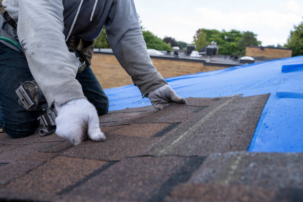Best Metal Roofing Contractor  in Cleary, MS