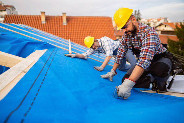 Best Roof Maintenance Services  in Cleary, MS