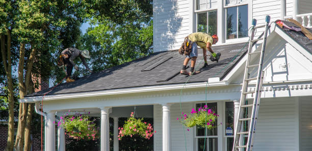 Best Roof Gutter Cleaning  in Cleary, MS